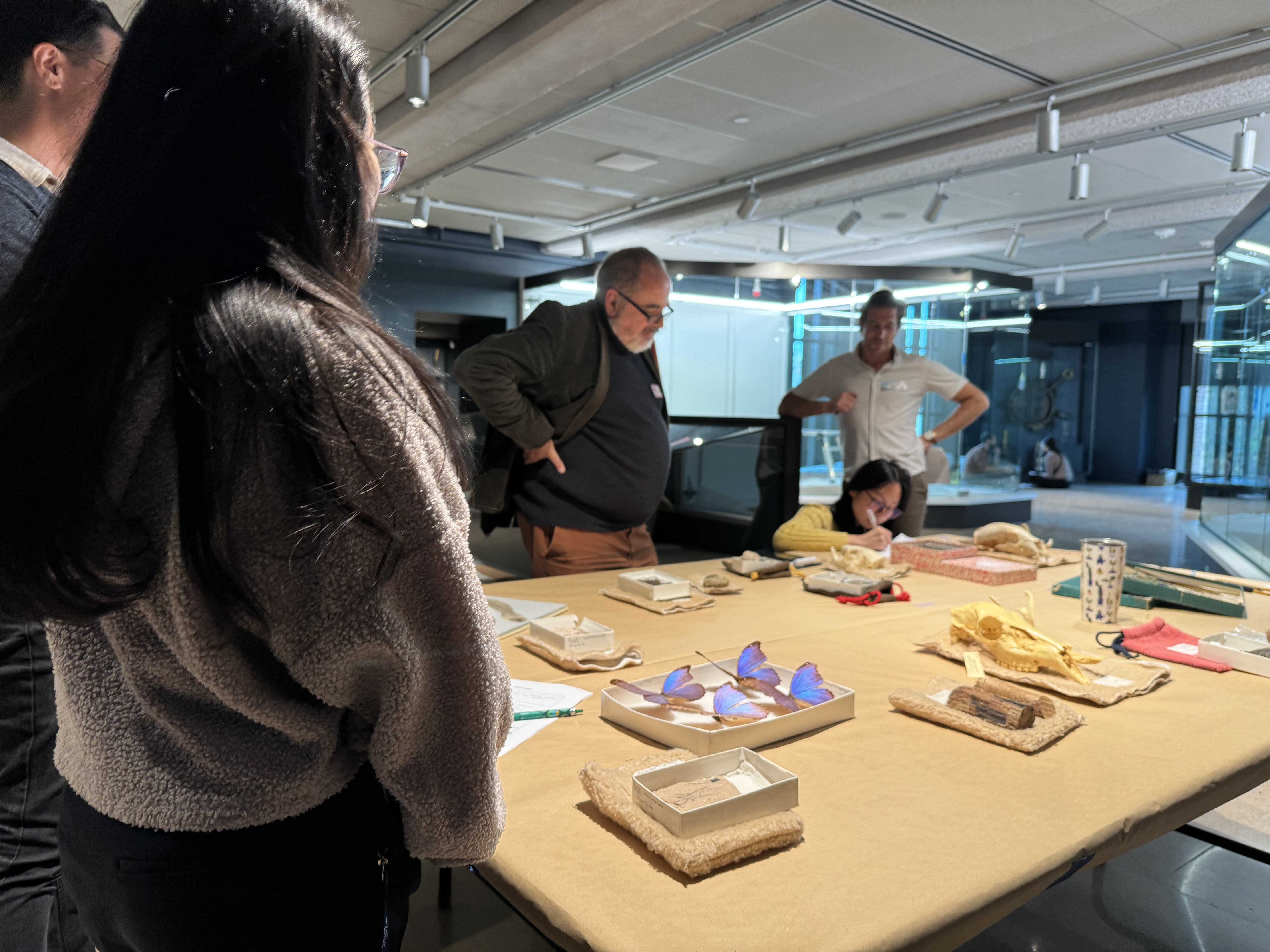 A group of people stand around a table covered in paper and museum objects